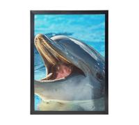 YXDVPALNE Lovely Dolphin Printed, Wall Art Prints Black Frame Decorative Painting Wall Hanging For Home 30 x 40 cm