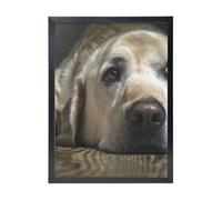 YXDVPALNE Lovely Labrador Dog, Wall Art Prints Black Frame Decorative Painting Wall Hanging For Home 30 x 40 cm