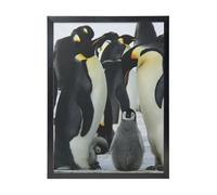 YXDVPALNE Penguin Family, Wall Art Prints Black Frame Decorative Painting Wall Hanging For Home 30 x 40 cm