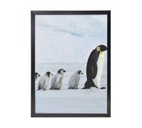 YXDVPALNE Penguin Family, Wall Art Prints Black Frame Decorative Painting Wall Hanging For Home 30 x 40 cm