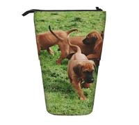 YXDVPALNE Rhodesian Ridgebacks Dogs Puppies Pets Family,Telescopic Pencil Case,Stand Pencil Holder with Zipper Pencil Pouch Pen Bag
