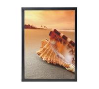 YXDVPALNE Sunset Over The Sea The Shell Conch, Wall Art Prints Black Frame Decorative Painting Wall Hanging For Home 30 x 40 cm
