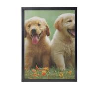 YXDVPALNE Yellow Labrador Retriever Puppies, Wall Art Prints Black Frame Decorative Painting Wall Hanging For Home 30 x 40 cm
