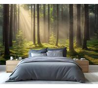 YXQAIED Forest Wallpaper 390x260cm, Jungle Bedroom Wallpaper, Landscape Photo Wallpapers, Sunshine Wall Murals for Living Room Poster Decor (Not Peel and Stick)