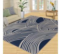 YXQAIED Geometry Rugs, 50x80cm Abstract Lines Area Rug Japanese Waves Carpet, Small Rug Soft Non-slip Apply to Dorm Room Hallway Entrance