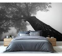YXQAIED Grey Wallpaper 366x254cm, Big Tree Wallpaper for Living Room, Misty Landscape Photo Wallpapers, Tree Trunk Wall Murals for Living Room Poster Decor (Not Peel and Stick)