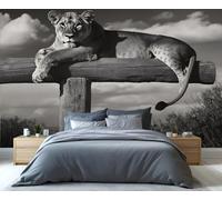 YXQAIED Wallpaper - Cheetah Print Home Decor & Mural, Leopard Bedroom Wallpaper, Wild Animal Wallpapers Mural for Living Room, Not Self-Adhesive 3D Printed Large Murals