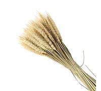 YXRRVING 10pcs Natural Wheat Ear Dried Flowers Bouquet Artificial Flower Simulation Plant For Living Grass Party Wedding Room Decoration