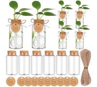YXSJAS 12 Packs Propagation Stations Desktop Plant Hydroponic Containers with Wooden Hole Lid Clear Propagation Plastic Jars with Thank You Tags for Office Decoration Outdoor Landscape Design