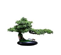 YXWYXWA Artificial Bonsai Tree Bonsai Realistic Fake Plant Decoration Artificial Juniper Bonsai Tree with Pony Figurine 19 Inch -20 Inch Tall with Pot for Decoration, Desktop Display, Zen Garden Decor