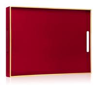 YXZHUOYU Sturdy Acrylic Serving Tray with Handles-15.7x11.8Inch, Morden Plastic Rectangular Serving Tray for Coffee Table Bathroom, Ottoman, Home Decor (Rectangular - Red)