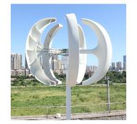 YXZKJZJ 5000W Vertical Axis Wind Turbine Generator 5KW 12V 24V 48V With MPPT Low Noise Wind Power Generator Windmill For Home Farm for Home, Farm, Street Lighting, Boats(White with Control,48V_5000W)