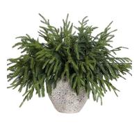 YXZZWL 16 Pcs 18 Inch Real Touch Artificial Norfolk Pine Branches, Lifelike, Versatile, Deformable, Green, Festive, Versatile Pine Branches for Christmas Decor