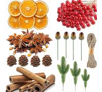 YY-JUNYING 225Pcs Christmas Wreath Making Supplies, Dried Orange Slices and Cinnamon Sticks And star anise,Artificial Pine Branches Artificial Berries for Christmas Wreath Craft Party Decor