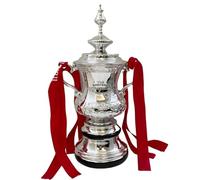 YYDSTES Fa Cup Champions Trophy Replica English Championship Trophies Football League Souvenir Collectibles Home Decorations for Football Fans,16cm