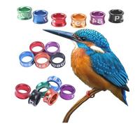 YYDSWTW Bird foot rings Leg bands for birds Durable leg rings Random numbers Doves distinguishing birds Open_50pcs 8mm