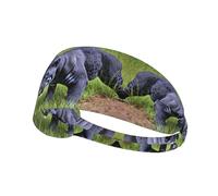 YYHHAOFA Animal Panther Pattern Sports Headband for Women Sweat Proof Bandeau Summer Elastic Band