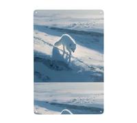 YYHHAOFA Arctic fox on the snowy plains Prints Tin decorative painting 8x12in Made of tinplate, wear-resistant and durable
