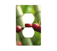 YYHHAOFA Autumn Fruit On The Branch Printed Double Socket Wall Panel Decorative is Durable and Suitable for Socket Light Switch Accessories 4.5x2.76in