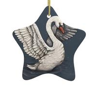 YYHHAOFA Beautiful White Swan Prints Christmas ceramic star pendant - Festive Hanging Ornament for Homes 3.12 x 3.12 in
