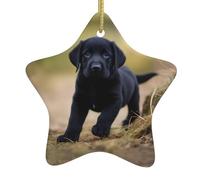 YYHHAOFA Black Labrador Puppy Picture Holiday indoor Christmas decoration pentagram ceramic durable party gift