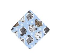 YYHHAOFA Blue Chinchillas And Moon Prints Square Car Air Fresheners Cards Set of 6 Pieces : Hanging Scented Cards for bedroom Bathroom Car Interior Decor