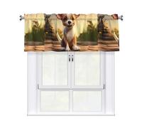 YYHHAOFA Cute Chihuahua Prints Short Curtain with Valance Rod, 54x18in Light Filtering Window Treatment for Kitchen, Bathroom, Laundry Room, Studio