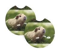 Yyhhaofa Cute Guinea Pig Pattern Car Interior Cup Holder Pad 2 Pc Waterproof & Quick Drying, Protects Against Spills & Scratches