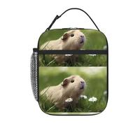 YYHHAOFA Cute Guinea Pig Prints Portable Handheld Insulated Lunch Bag Suitable for Students to Work and Travel