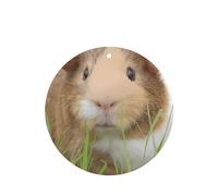 YYHHAOFA Cute Guinea Pig Prints Round Shape Car Air Fresheners Cards Set of 6 Pieces : Hanging Scented Cards for bedroom Bathroom Car Interior Decor