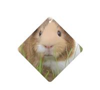 YYHHAOFA Cute Guinea Pig Prints Square Car Air Fresheners Cards Set of 6 Pieces : Hanging Scented Cards for bedroom Bathroom Car Interior Decor