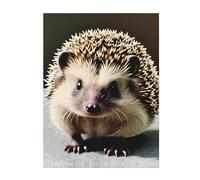 YYHHAOFA Cute Hedgehog Picture Keep Warm Blanket 60"x50" Throw Lightweight Warm Durable Suitable for Bed Sofa