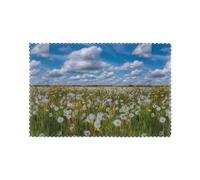 YYHHAOFA Dandelion on the Prairie Pattern Durable placemat, waterproof, easy to clean, heat-resistant, anti slip placemat set