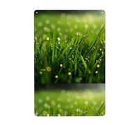 YYHHAOFA Dew on the grass Prints Tin decorative painting 8x12in Made of tinplate, wear-resistant and durable