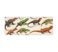 YYHHAOFA Different Types of Lizard Pattern Extra Large Mouse pad Mousepad Computer Office Gaming Keyboard Thickened Version 12x31.5in
