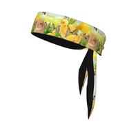 YYHHAOFA Easter Bunny Spring Butterfly Printed Sports Double-Sided Headscarf Quick Drying, Moisture Wicking for Women, Girls, and Men