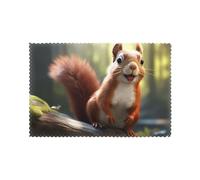 YYHHAOFA Funny Squirrel Pattern Durable placemat, waterproof, easy to clean, heat-resistant, anti slip placemat set