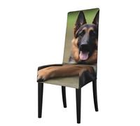 YYHHAOFA German Shepherd Dog Printed dining chair cover is easy to disassemble and made of high resilience fabric that is wear-resistant
