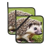 YYHHAOFA Hedgehog Polkadot Prints Square Insulated Pot Holder Set of 2 8x8 in for Kitchen lids, Microwave ovens, Outdoor barbecues