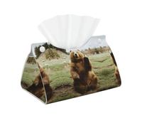 YYHHAOFA Hi Bear Sit on the lawn Prints High-grade Long Tissue Box Cover