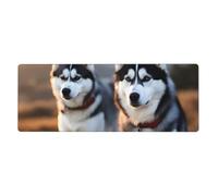 YYHHAOFA Husky Dog Pattern Extra Large Mouse pad Mousepad Computer Office Gaming Keyboard Thickened Version 12x31.5in