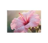 YYHHAOFA Korean national flower Printing Placemats for Dining Table Set of 6 Thick and Sturdy Design for Excellent Wear Resistance, Good Wrinkle Resistance