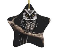 YYHHAOFA Late Night Owl Prints Christmas ceramic star pendant - Festive Hanging Ornament for Homes 3.12 x 3.12 in
