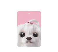 YYHHAOFA Lovely Maltese Dog Prints Rectangle Car Air Fresheners Cards Set of 6 Pieces : Hanging Scented Cards for bedroom Bathroom Car Interior Decor