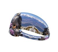 YYHHAOFA Mountain Top Falcon Pattern Sports Headband for Women Sweat Proof Bandeau Summer Elastic Band