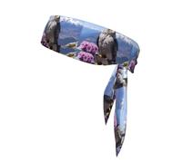 YYHHAOFA Mountain Top Falcon Picture Sports Headscarf, Casual Headband, Elastic, Sweat Absorbing, Adjustable, Anti Slip
