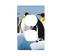 YYHHAOFA Penguins on The Iceberg Printed Double Socket Wall Panel Decorative is Durable and Suitable for Socket Light Switch Accessories 4.5x2.76in