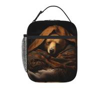 YYHHAOFA Portable Insulated Lunch Bag Little Bear Sleeping On Quilt Printing Reusable Lunch Bag Durable for Men and Women Easy Carrying