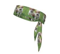 YYHHAOFA Puppies Dog Picture Sports Headscarf, Casual Headband, Elastic, Sweat Absorbing, Adjustable, Anti Slip