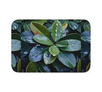 YYHHAOFA Raindrops on Leaves Printed Anti Slip and Thickened Floor mat Suitable for bathrooms, bedrooms, Washable Carpet Floor mats 16X24 in